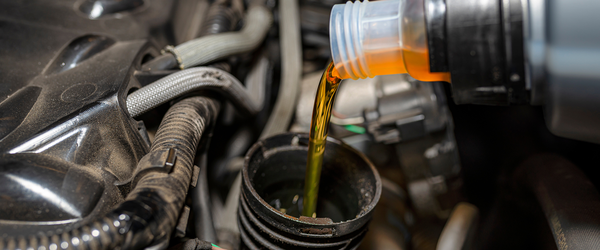 Oil Changes near White House, TN